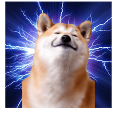 動く！荒ぶる柴犬