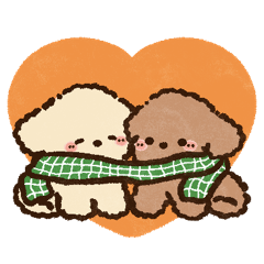 Fluffy Toy Poodle Autumn