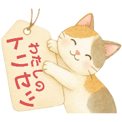My Manual. cat-type personality.