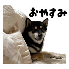 natsu_20251028134509