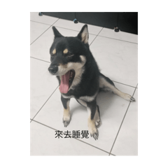 可可可愛愛愛的寶寶寶貝貝貝