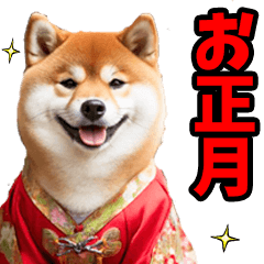 お正月☆柴犬