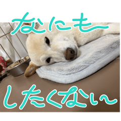 Yuto_20251028165917