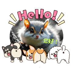 天笠鼠動態模樣圖