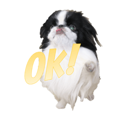 Daily life's stamp 2 of a Japanese Chin