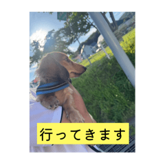 nanana_20251029040548