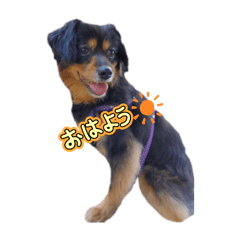 Kasumi_20251028234526