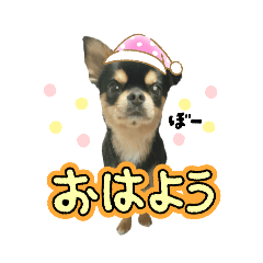 KAORI_20251028235336