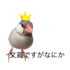 bsk_20251028224451