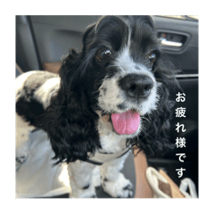 konota_20251029004929