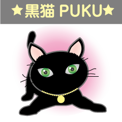Black cat PUKU for BUSINESS