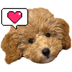 Misaki_20251028181728