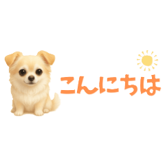 Mini Chihuahua  Gentle Words, Big Heart2