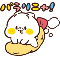 Friends cat I LOVE FRIED SHRIMP