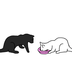 move black cat and white cat