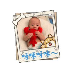 小尖尖、小波波