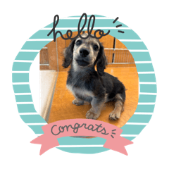 nanana_20251028214547