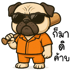 Naughty Pug (THAI)
