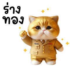 บิ๊ก ข้าราชแมว ❤️ น่ารัก
