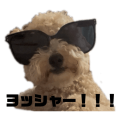 Chikuwa_20251029001229