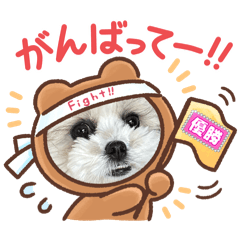 Dante_20251029002847