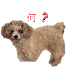 chanyui_20251029112456