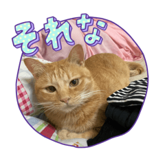 haruna_20251029120419