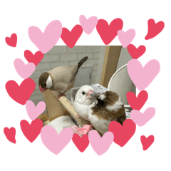 omochi_20251029124628