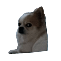 m_20251029131225