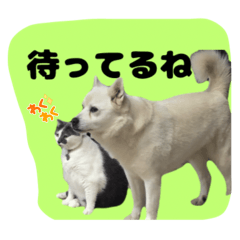 kieko0084_20251029141117