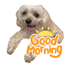 natsumi_20251029123925