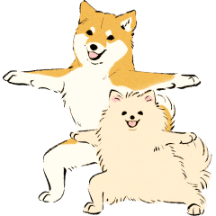 ヨガを嗜むおイヌさんたち