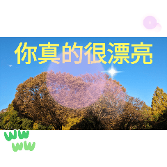 Taipei's natural beauty and basic greeti