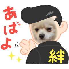 ayumi_20251029145235