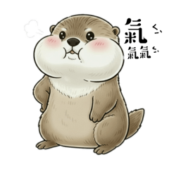 水獺寶寶 . Anson