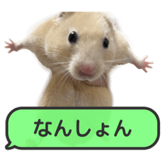 seira_20251029164941