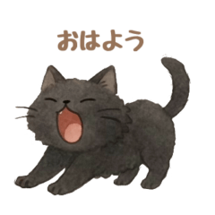 Greetings from black cats