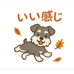 Schnauzer Autumn Walk