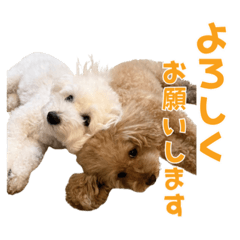 meiandmoco_20251029163143