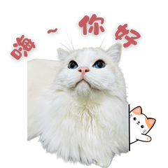 米布家族-日常問候#2