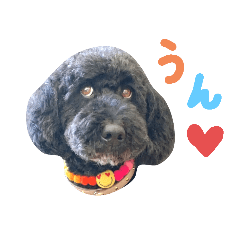 mamemama_20251029194320