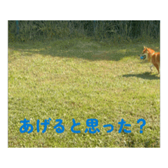 Yuka_20251029170800