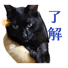 yanana_20251029212411