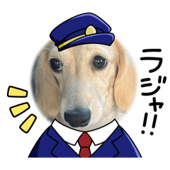 AYAME_20251029231739