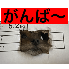 karin_20251029230858