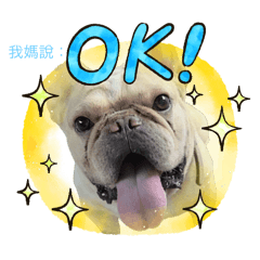 阿梅自製貼圖