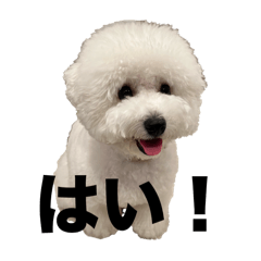 Sakura_20251029234412