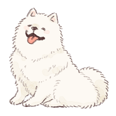 もふもふサモエドさん