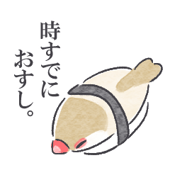 Playful Java Sparrow