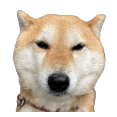 Shibashiba_ver2